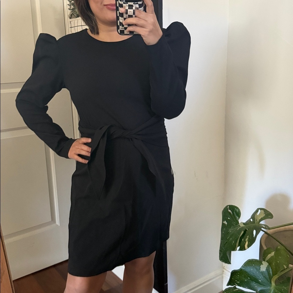 & Other Stories Puff Sleeve Knot Tie Dress. Size 6